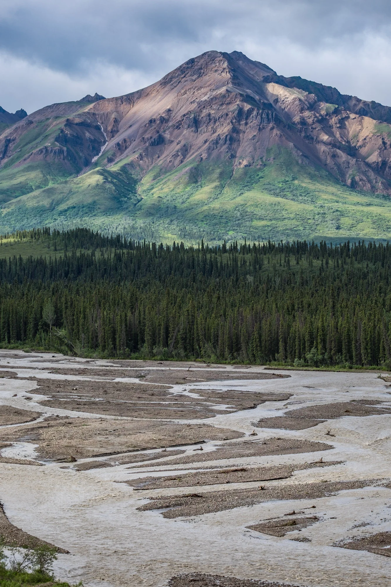 Denali National Park — The Greatest American Road Trip